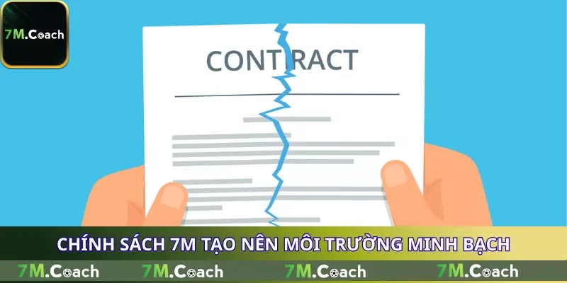 Chính sách 7M tạo nên môi trường minh bạch