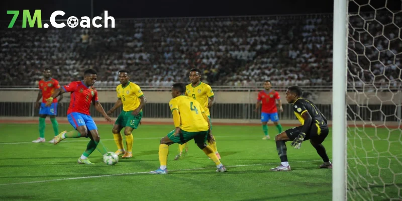 Dự đoán kết quả Eritrea vs Nam Phi