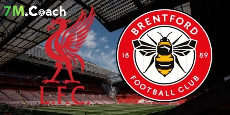 Thông tin trận đấu Brentford vs Liverpool